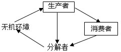 魔方格