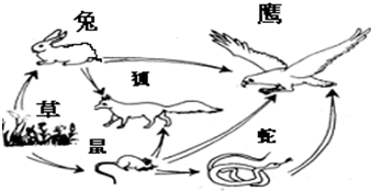 魔方格