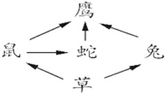魔方格