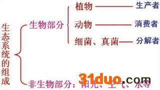 魔方格