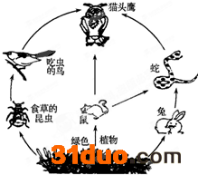 魔方格