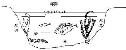 魔方格