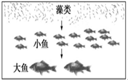 魔方格
