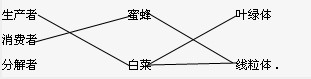 魔方格