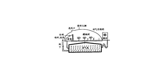 我市沂源县的果农在冬季利用温室塑料大棚种植樱桃，取得了良好的经济效益．但个别果农为了提高产量，常常大量使用化肥、农药等，这势必加剧环境污染，破坏生态系统的稳定性