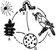 魔方格