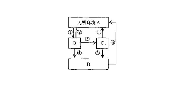 图为某森林生态系统碳循环亦意图，图中A、B、C、D分别代表生态系统的成分，①～⑦代表碳元素的传递过程．请据图回答：图中①②⑦表示的生理过程分别是