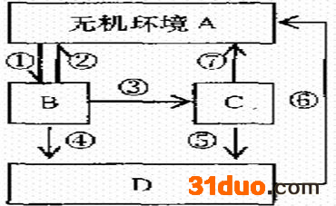 魔方格