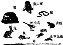 魔方格