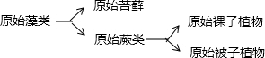 魔方格