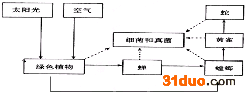 魔方格
