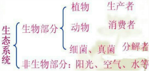 魔方格