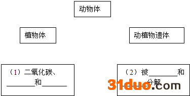魔方格