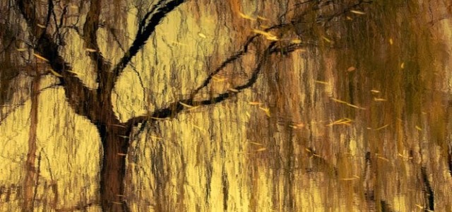 留不住似水年华 却留得住点滴回忆