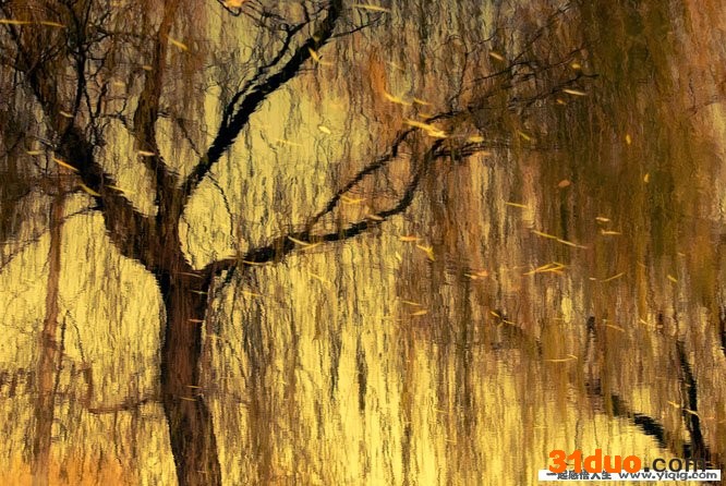 留不住似水年华 却留得住点滴回忆