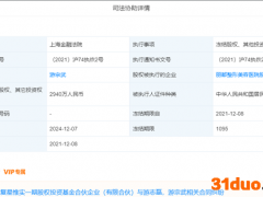 丽都整形近三千万股权被冻结 公司董事游宗武已多次被冻结股权