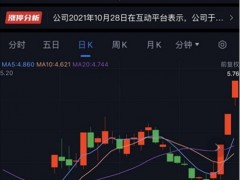 元宇宙小龙头三连板后突曝利空 公司提示有被ST风险