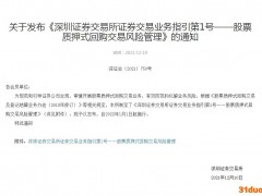 深交所：证券公司应审慎开展股票质押回购增量业务