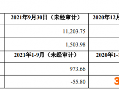 晶科科技跨境收购 上交所问标的持续亏损净资产为负