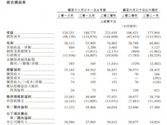 业务过度依赖母公司、上半年业绩明显下滑，力高健康生活再度冲击IPO胜算几何？