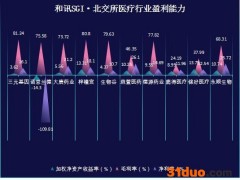 和讯SGI公司