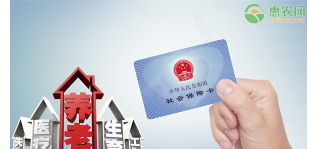 农村医保当月交何时生效？社保缴费时间是怎样的？