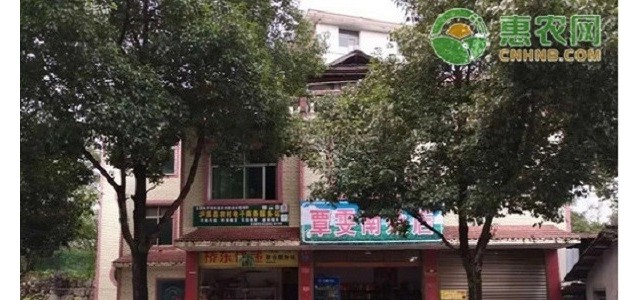 2025年实现村村通快递，农村快递站要怎么申请？