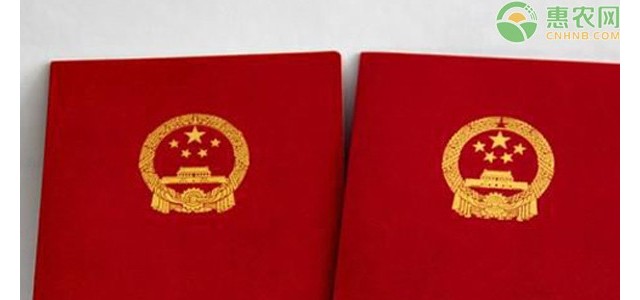 宅基地测量完多久下房产证？