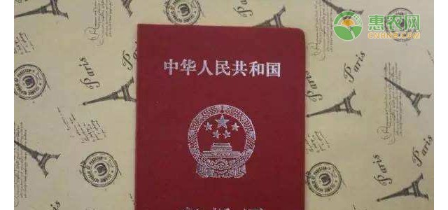 农村户口怎样办理离婚手续？有哪些流程？