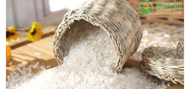 国际大米价格行情是怎样？对国内大米有影响吗？