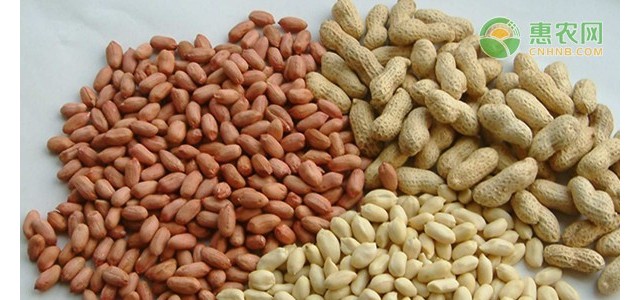 2021年近期花生价格走势预测