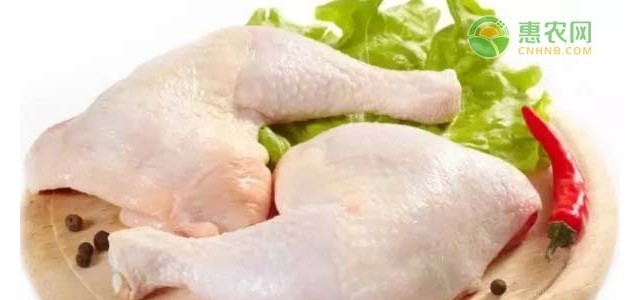 白羽鸡价格猛涨7成，市场又有什么新变化？