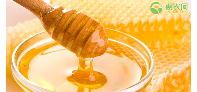 现在蜂蜜价格多少钱一斤？影响蜂蜜价格因素分析