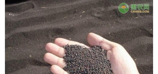 2021油菜籽价格最新行情怎么样？