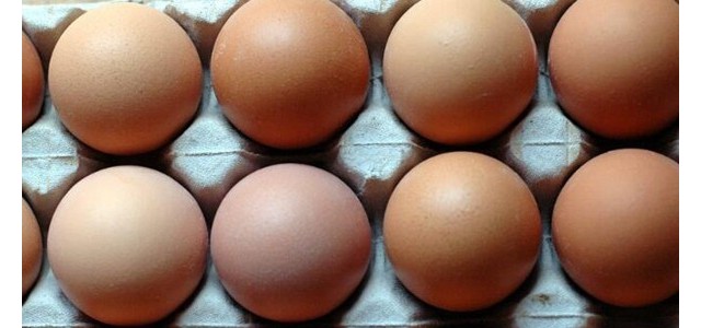 2021年清明节前后鸡蛋价格最新行情及走势