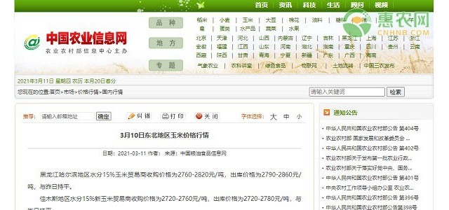 3月10日东北地区玉米价格行情