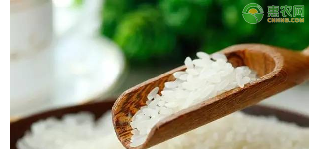 现在大米价格行情如何？大米价格为何上涨？