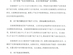 宝能集团:已在全力推进资产处置及回款工作 可置换资产均属一手新房