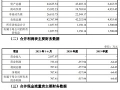 金开新能现金收购资产评估增值18倍 上交所问合理性