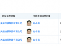 美盛文化搭元宇宙提5连板，控股股东违规占用资金7.7亿元，警示函、纪律处分接踵而至