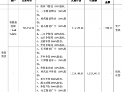广宇发展“转战”新能源收问询函：剥离地产回流现金132亿，3个月股价暴涨382%