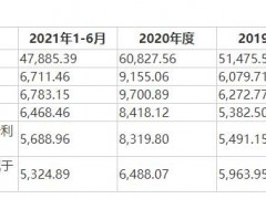宠物经济有多赚钱？这家公司的牵引用具半年卖了近3亿