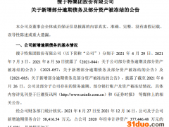 搜于特新增逾期债务合计5.84亿元 占公司2020年经审计净资产的15.48%