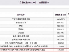 合盛硅业跌4.17% 国投瑞银新能源混基持股