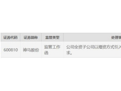 神马股份收监管工作函 子公司以增资方式引入投资者