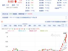 美盛文化独董“亮剑”，曝实控人假借投资名义套取上市公司资金