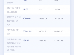 数读科创板IPO