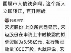 禾迈558元发行价是因投行点错小数点？专业人士：是段子，别再传了！45亿投理财成最大争议点