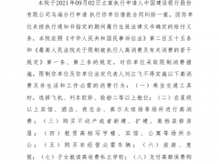 乌海化工公司被法院限制消费 为鸿达兴业全资子公司