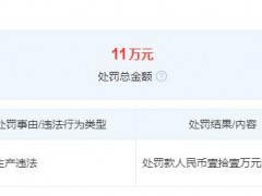 雪佛龙天津润滑油公司因安全生产类违法行为被罚